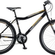 B261S0023_black-gold